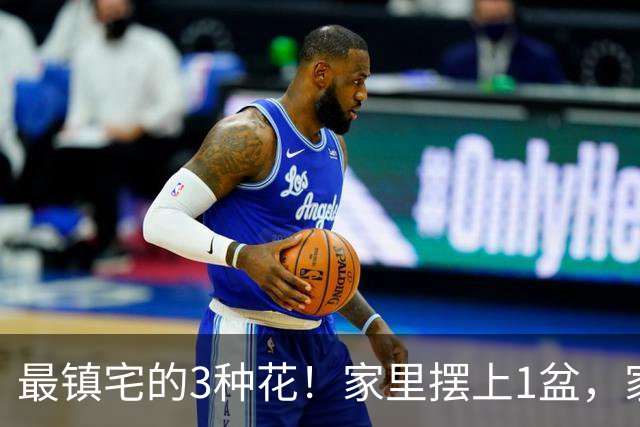 最镇宅的3种花！家里摆上1盆，家宅安稳气场旺，晦气邪气不进门
